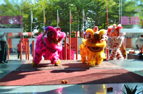 what does lion dance symbolize the power of the community