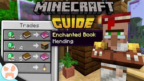 what villager trades mending books